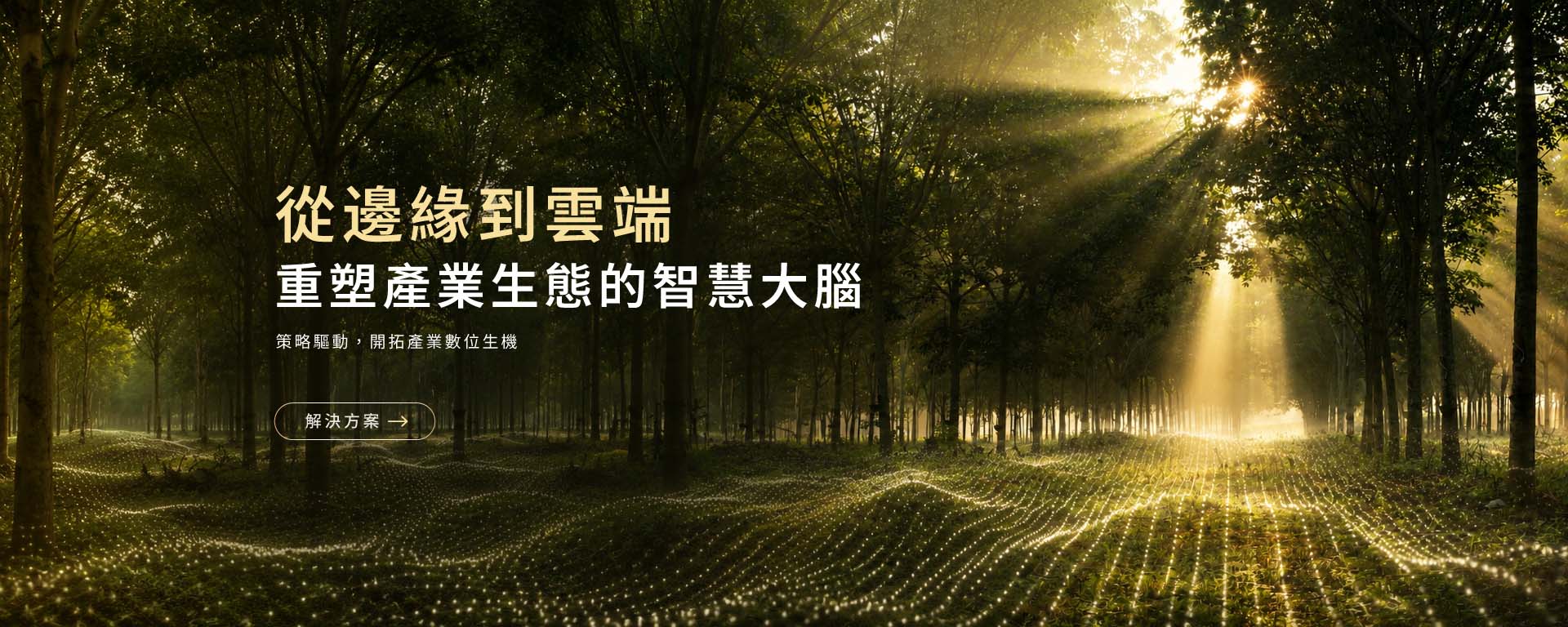 解決方案